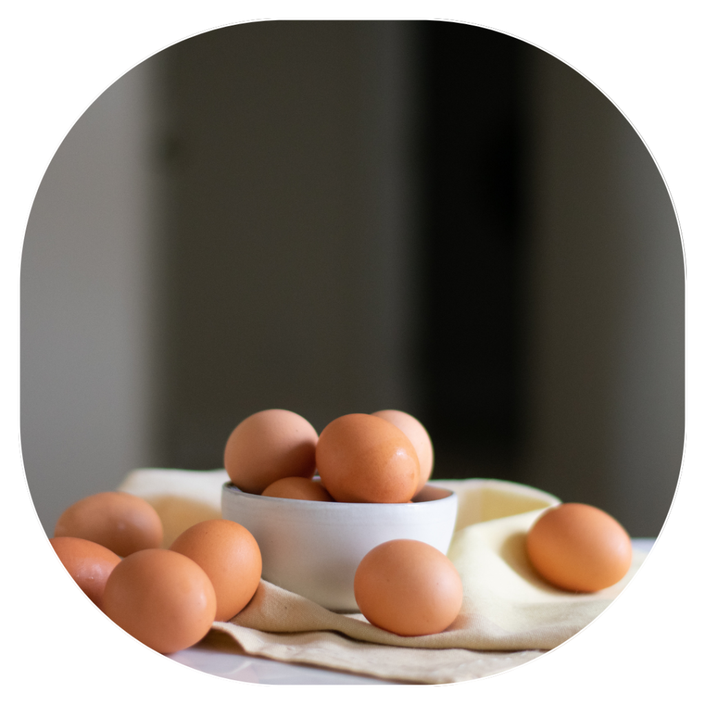 jaja dla gastronomii dezynfekcja UV